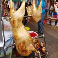 Animal carcass hanging for sale at a market stall.