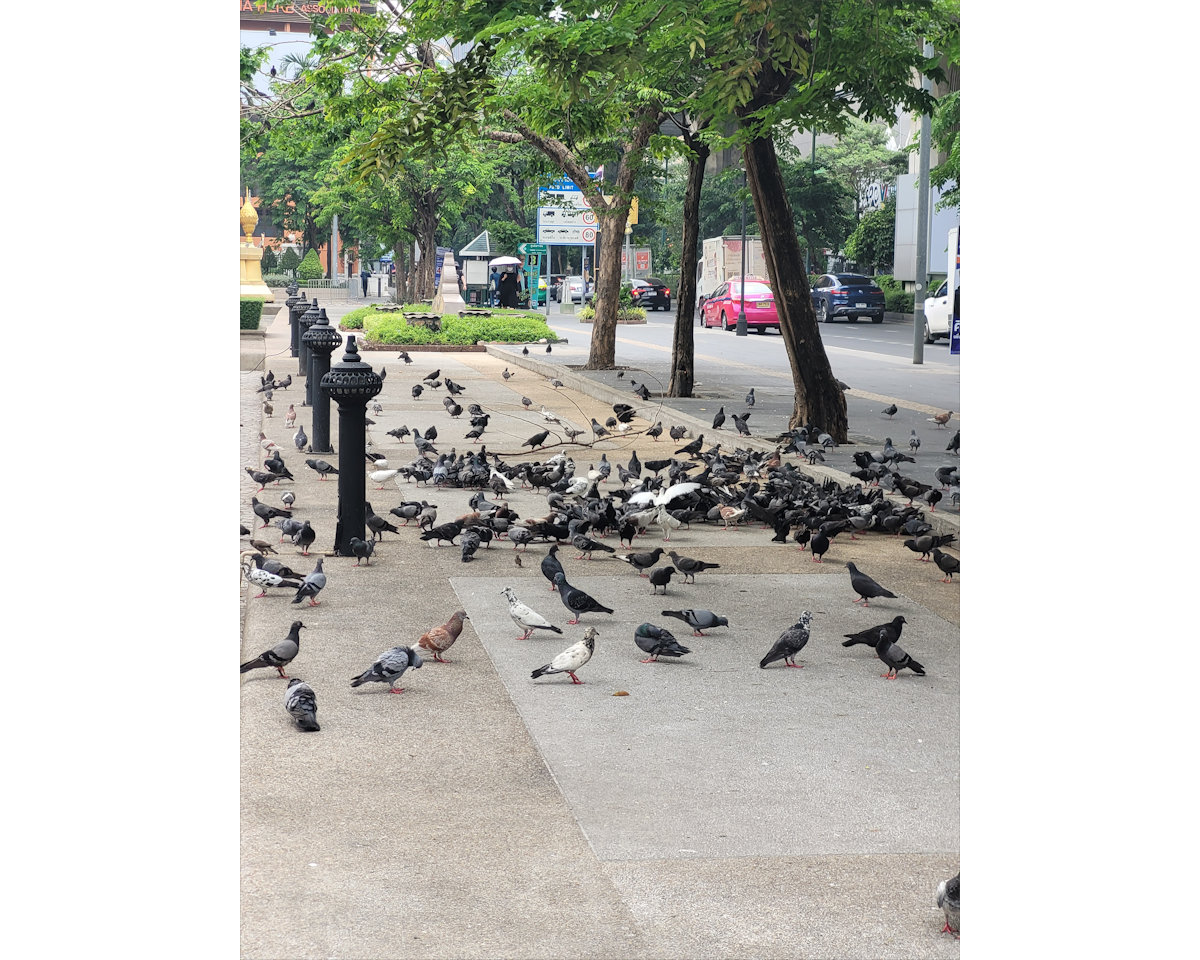 Bangkok