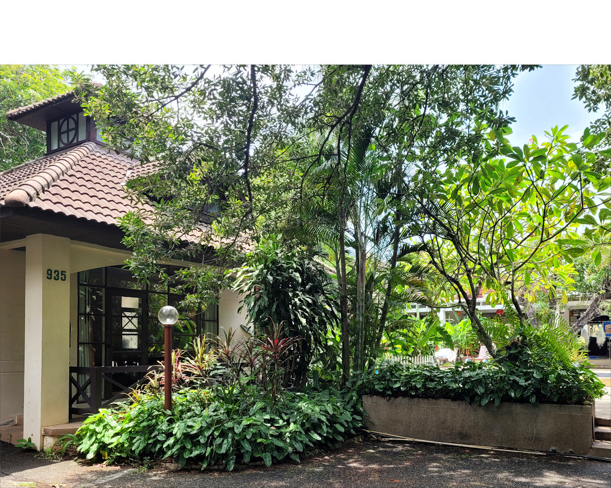 Eurasia, Chiang Mai