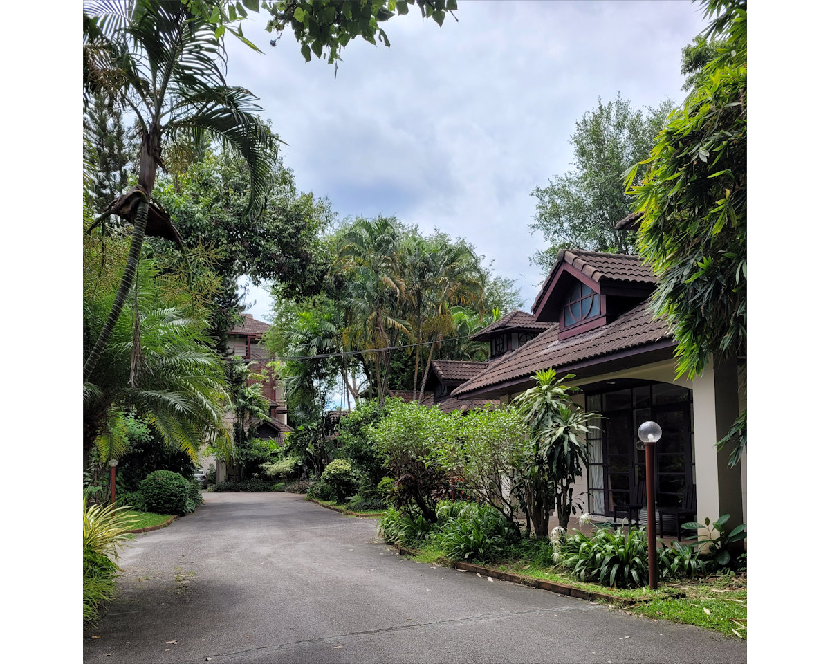 Eurasia, Chiang Mai