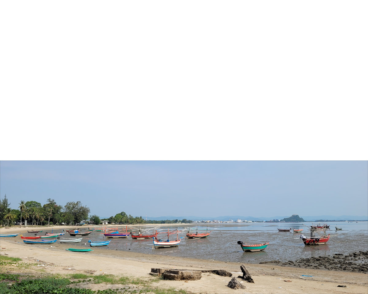 Dusky Leaf Monkeys, Wing 5, Prachuap