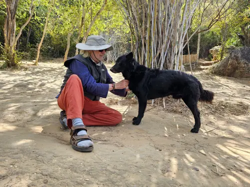 Man sitting with a black dog near the coast at Bay Camp Cafe in Prachuap Khiri Khan