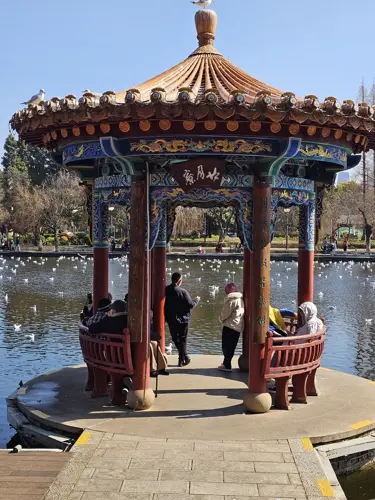 People standing in a lakeside pavilion at Daguan Park in Kunming watching a large flock of seagulls over the water.