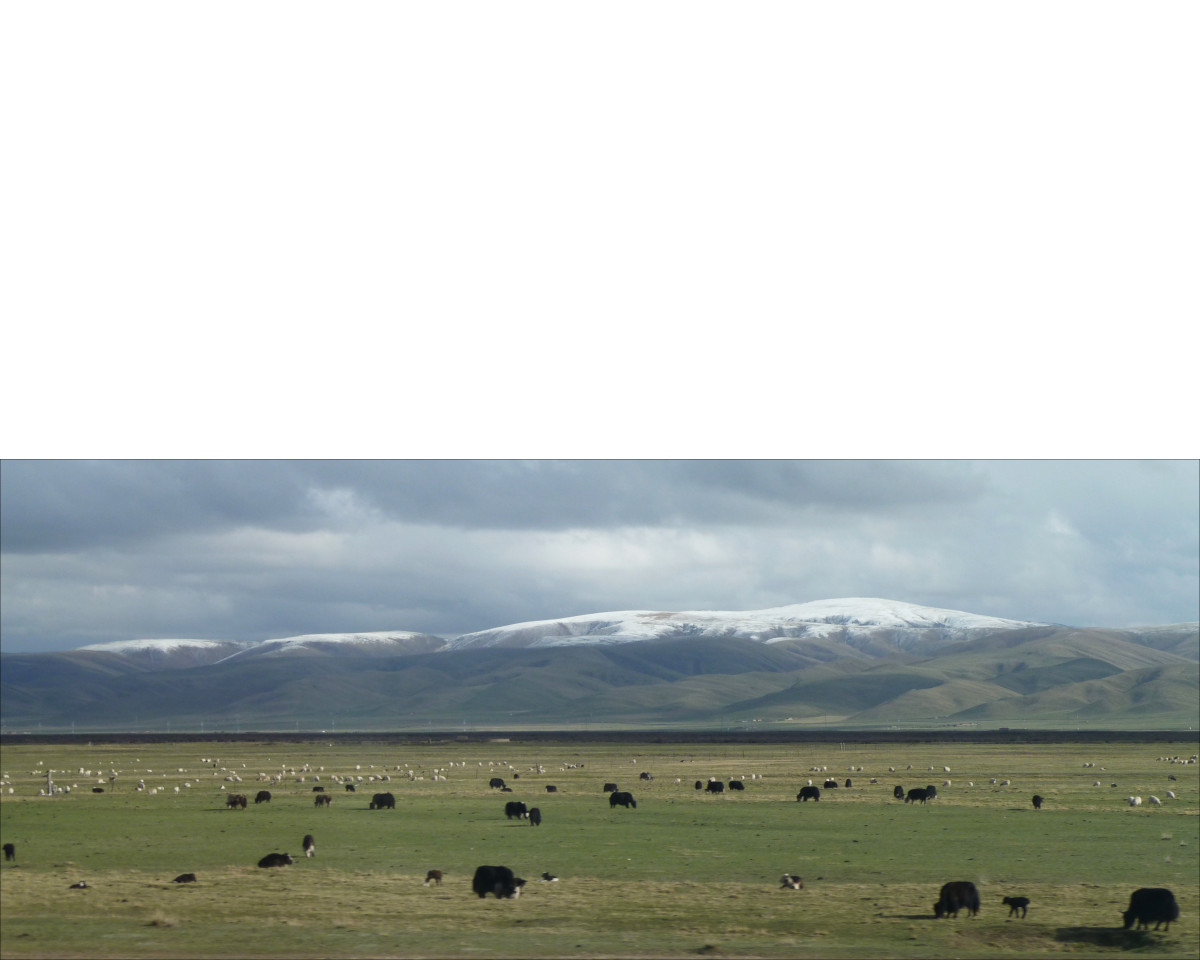 Qinghai-Tibet railway