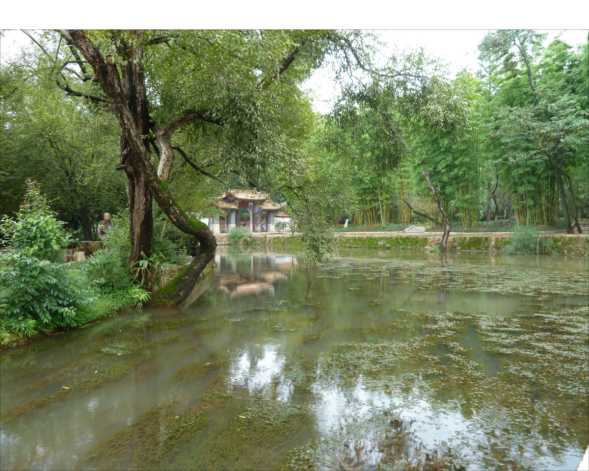 Kunming Black Dragon Pool