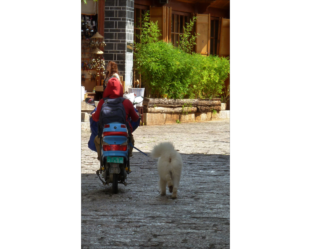 Lijiang - old town