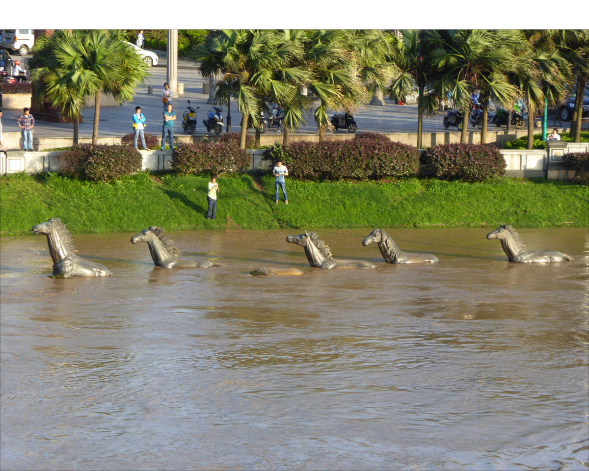 Guilin - Horses on the Li River