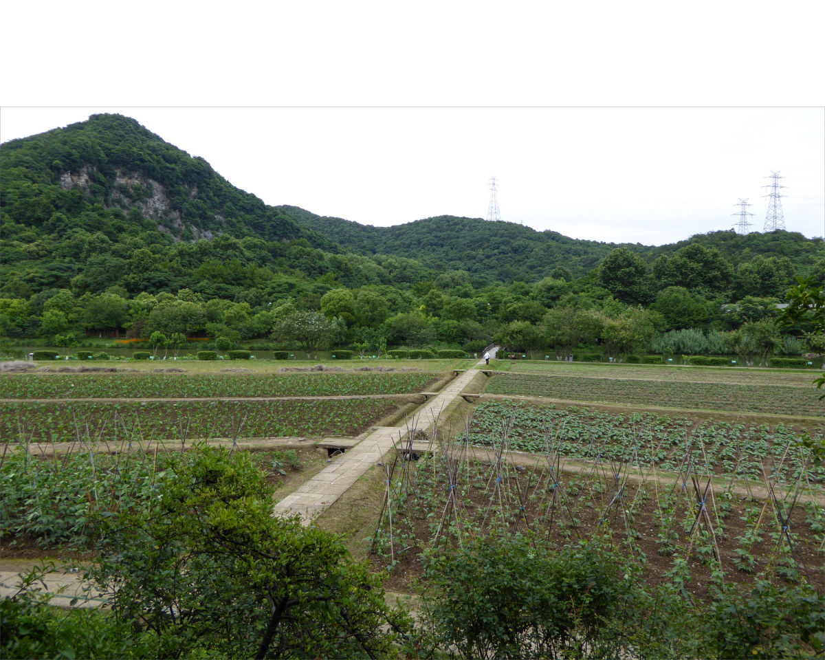 Hangzhou - Eight Diagrams Field (Bagua Tian)