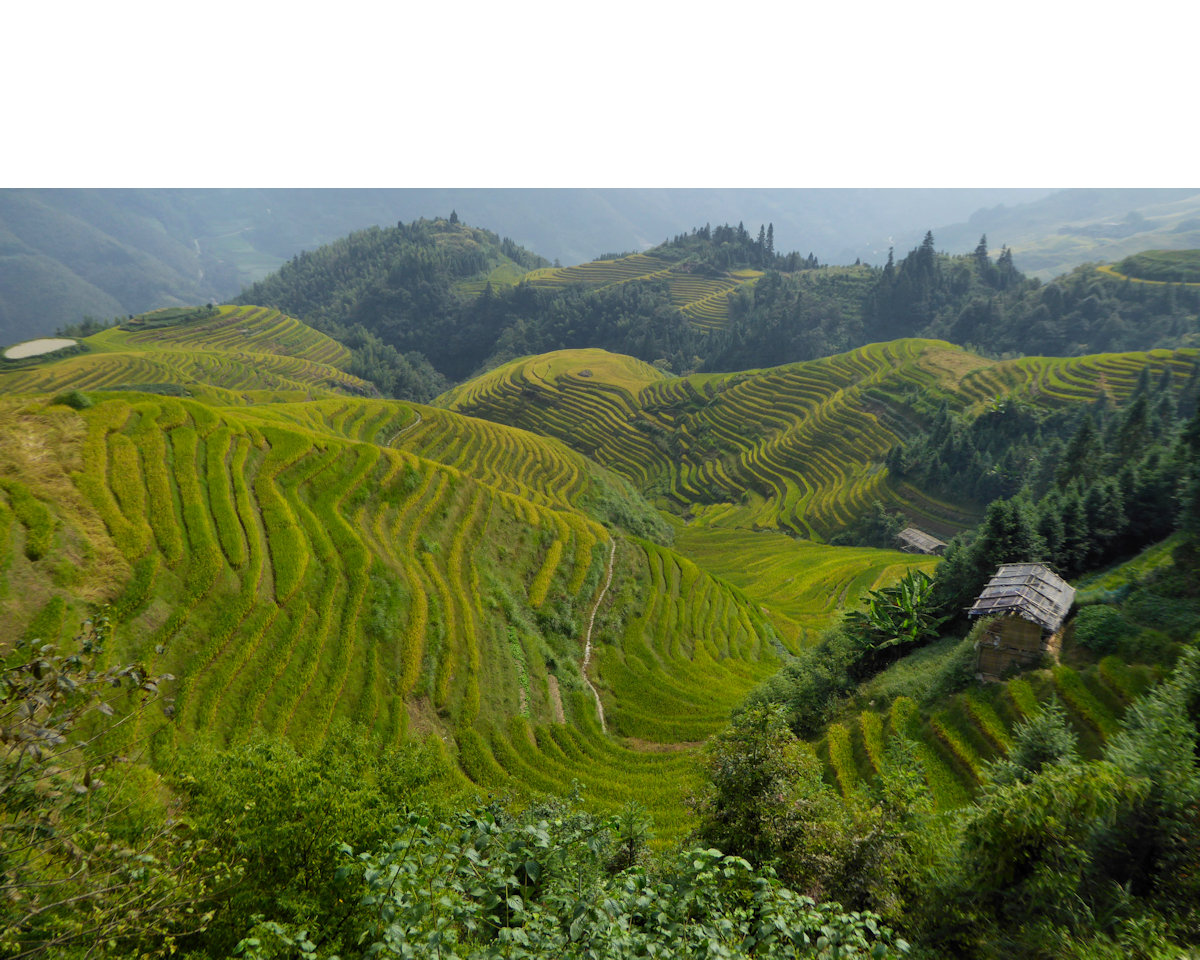 Longsheng / Longji rice terraces