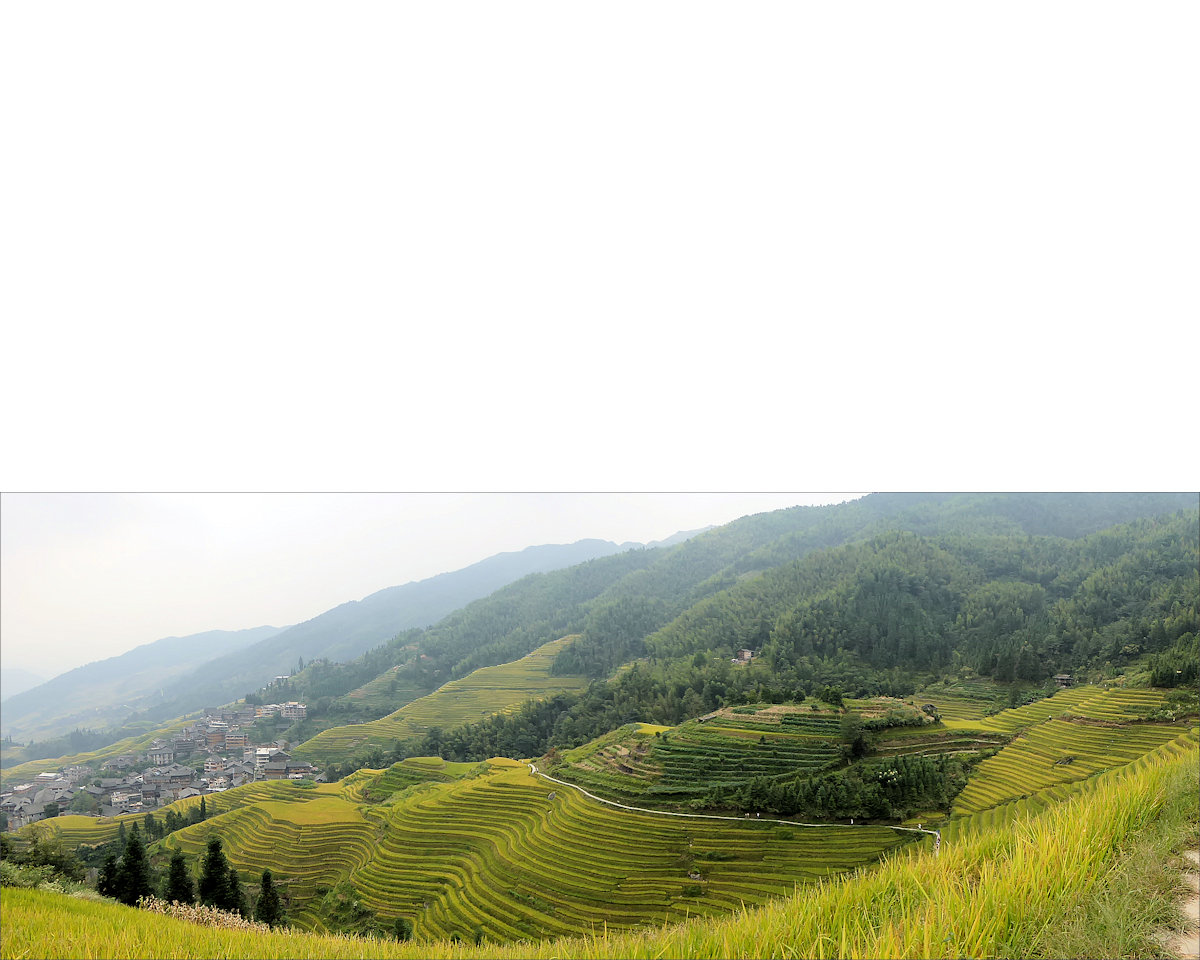 Longsheng / Longji rice terraces